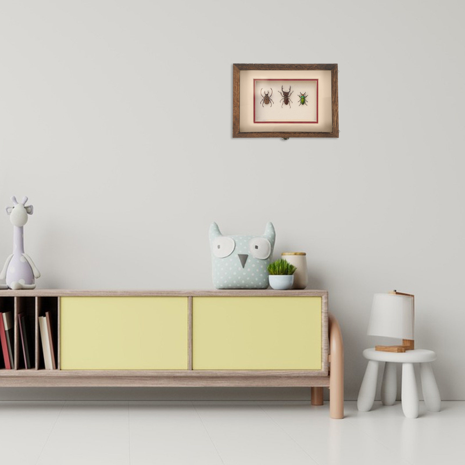 ตู้โชว์แมลงทำจากไม้ กรอบอะคริล - Frame Display Wood บทวิจารณ์และราคา