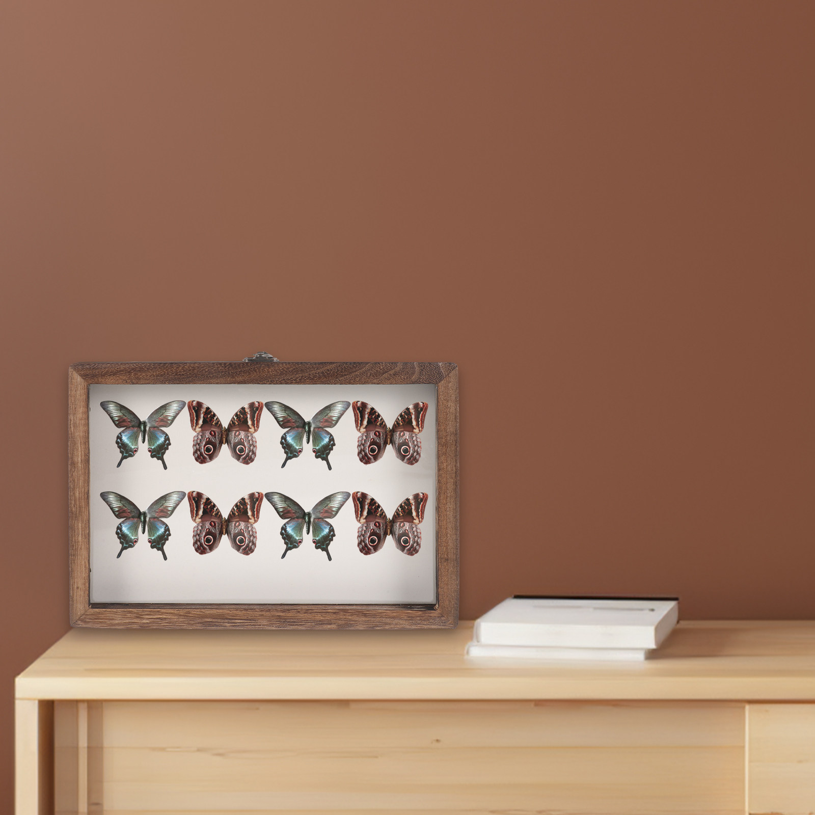 ตู้โชว์แมลงทำจากไม้ กรอบอะคริล - Frame Display Wood บทวิจารณ์และราคา