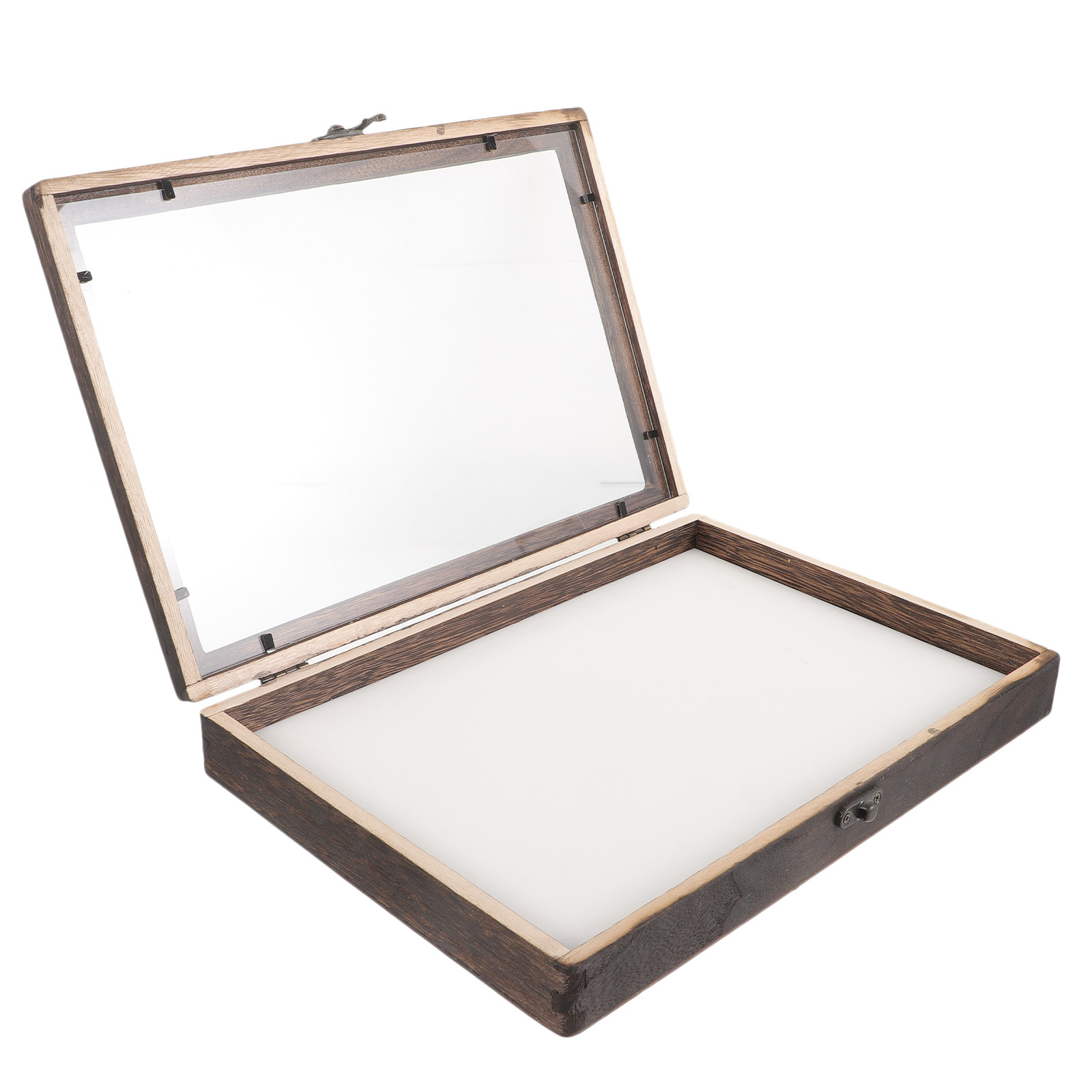 ตู้โชว์แมลงทำจากไม้ กรอบอะคริล - Frame Display Wood บทวิจารณ์และราคา