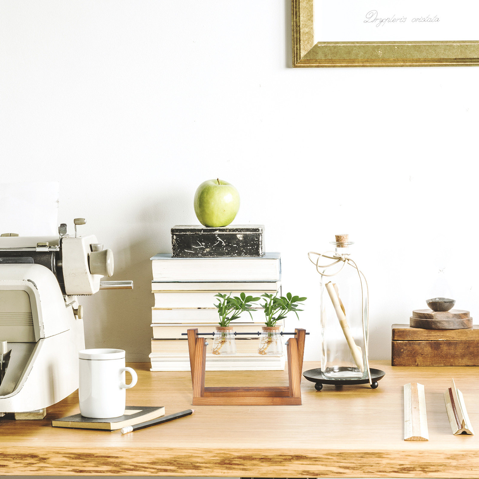ชุดจัดวางต้นไม้ในร่ม โครงไม้สำ - Frame Display Wood บทวิจารณ์และราคา